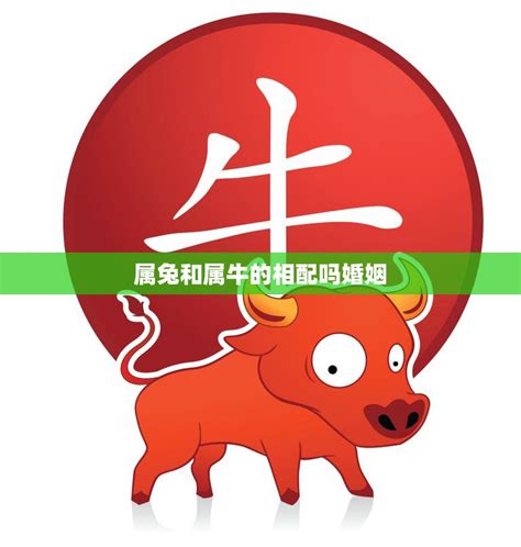 牛兔相配|兔和牛的十二生肖兼容性：愛情和關係 